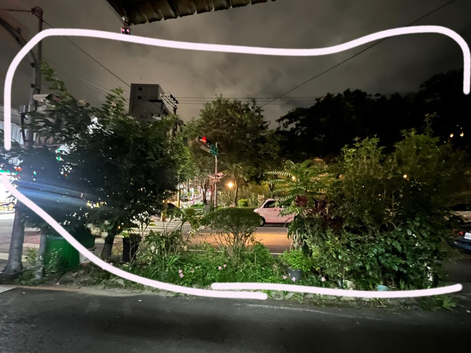 園藝維護案件圖片
