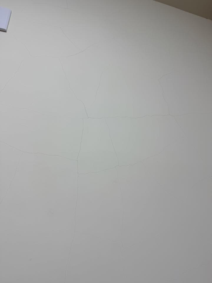 油漆工程案件圖片
