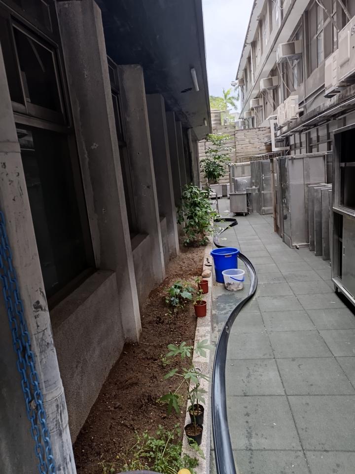 園藝維護案件圖片