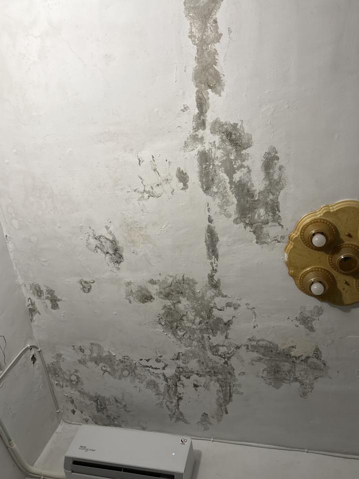 壁癌處理案件圖片
