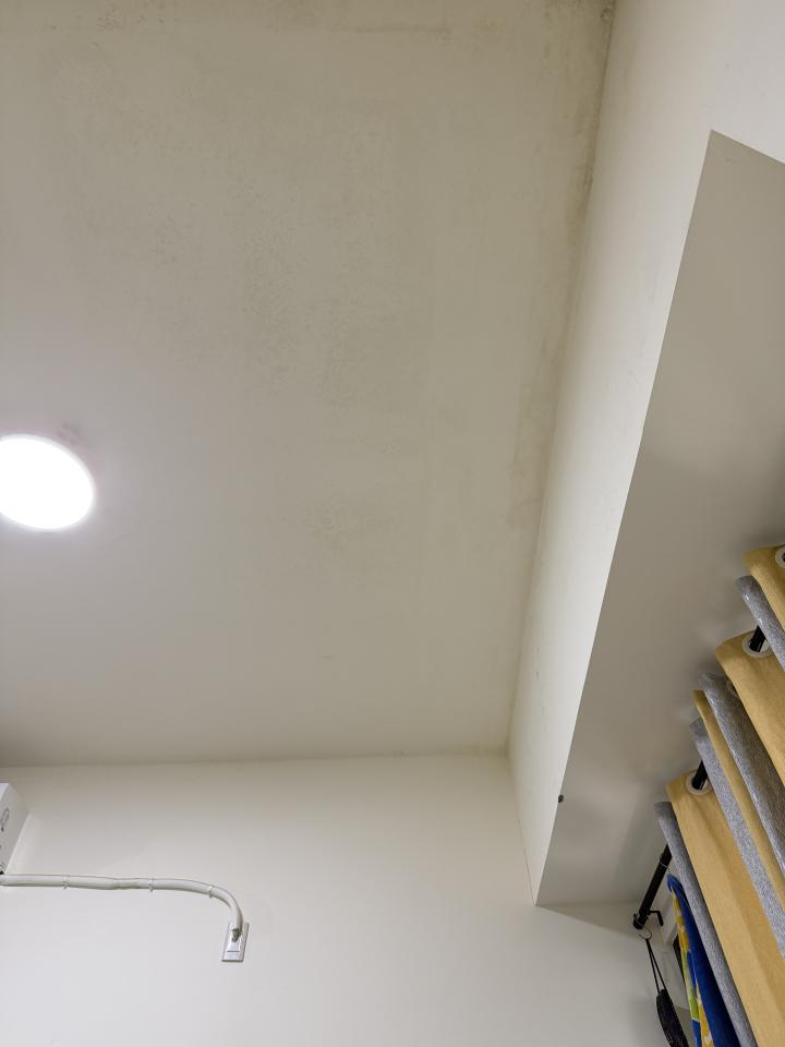 除霉案件圖片