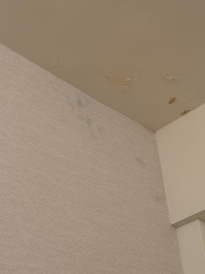 屋頂防水案件圖片