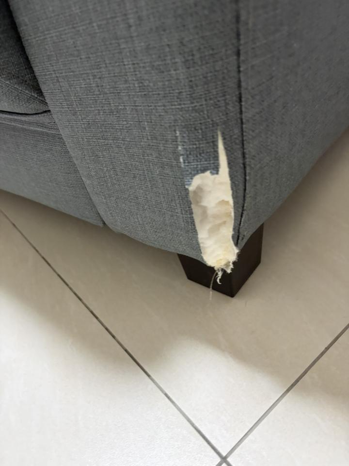 沙發修理案件圖片