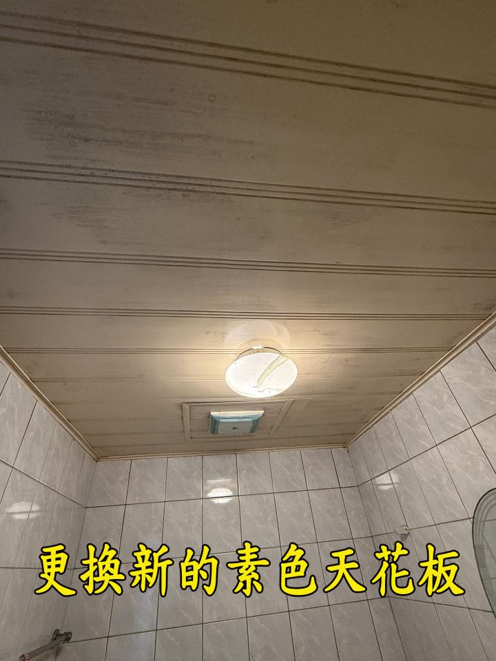 天花板設計案件圖片