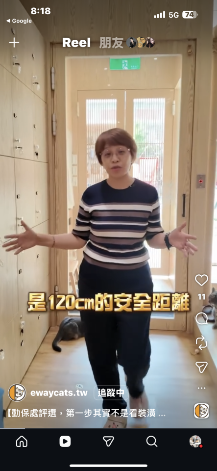 室內裝潢案件圖片