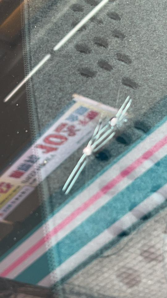 汽車玻璃修補案件圖片