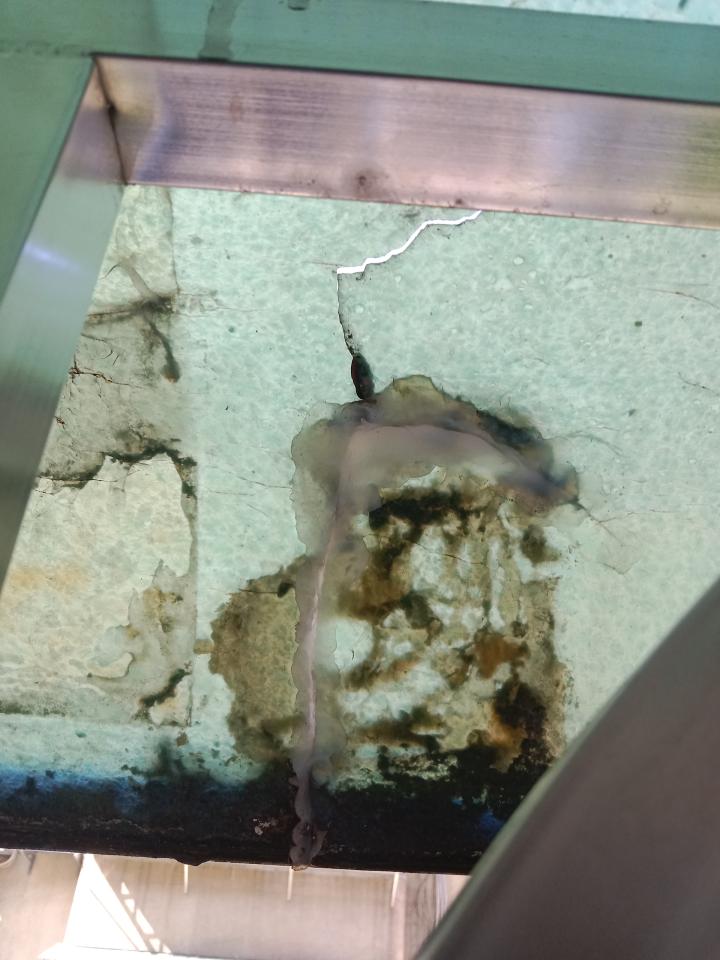 採光罩案件圖片