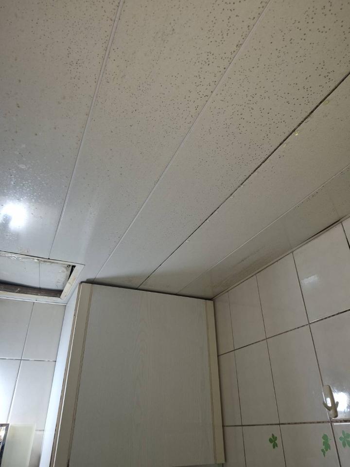 水管維修案件圖片