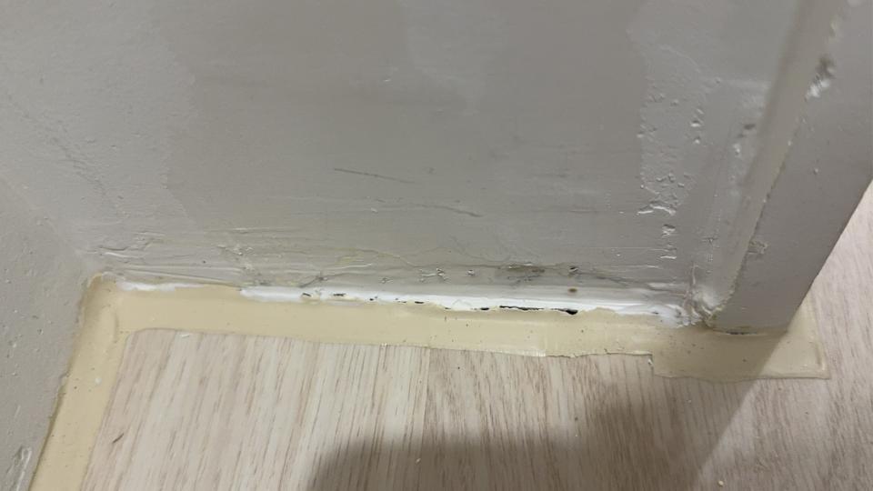 矽利康工程案件圖片