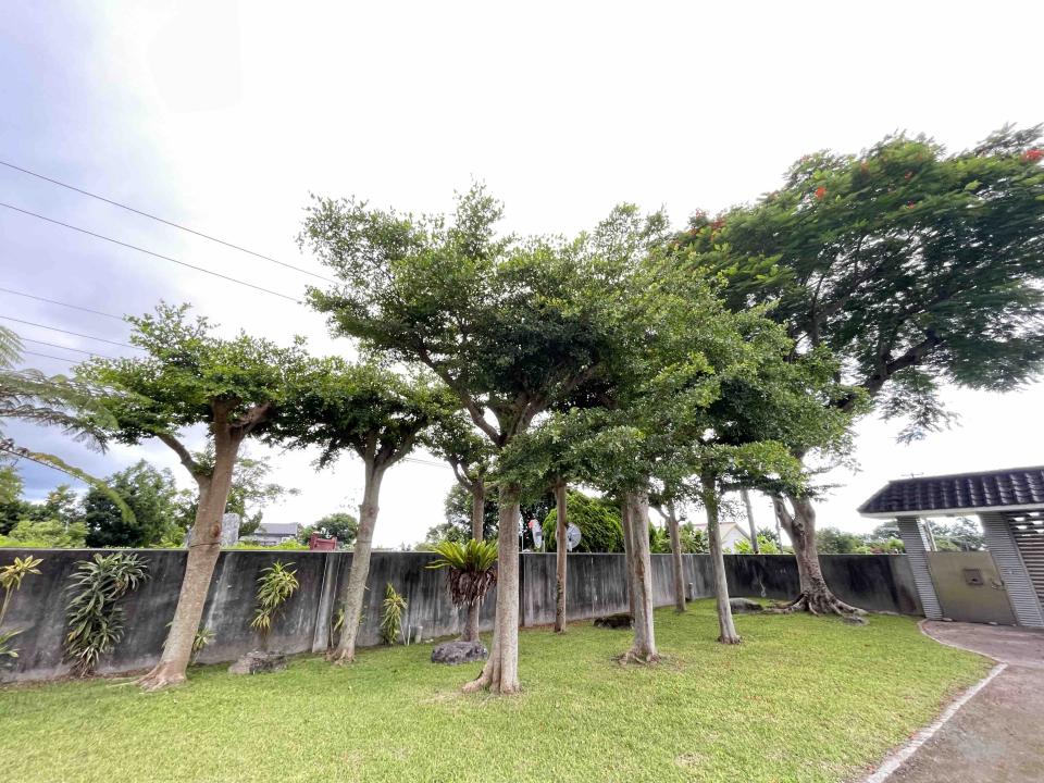 園藝維護案件圖片