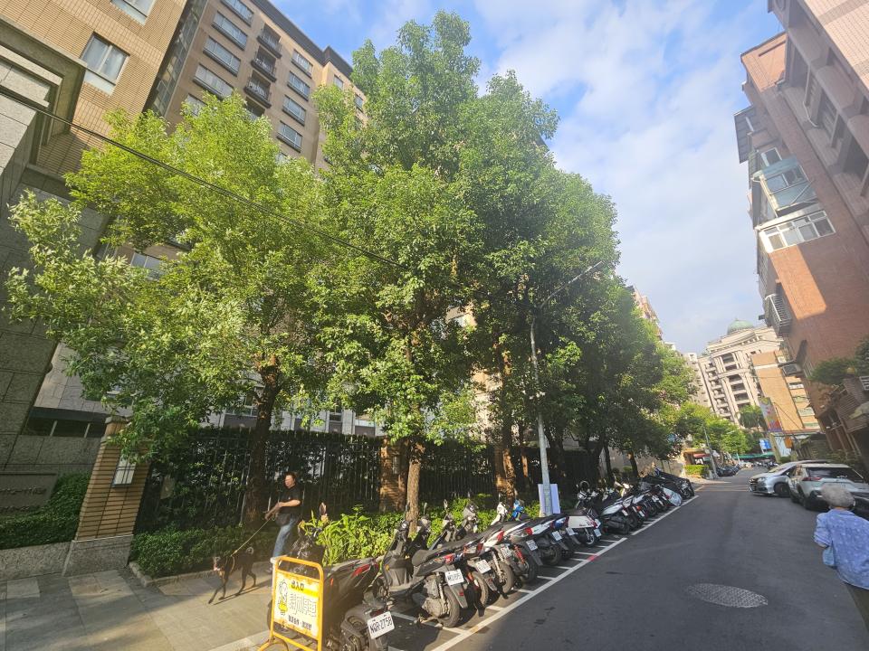 園藝維護案件圖片