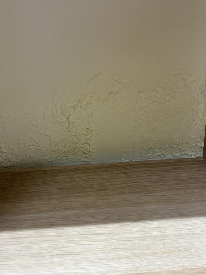 泥作/水泥施工案件圖片