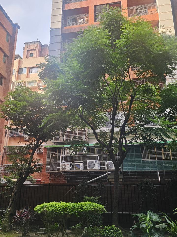園藝維護案件圖片