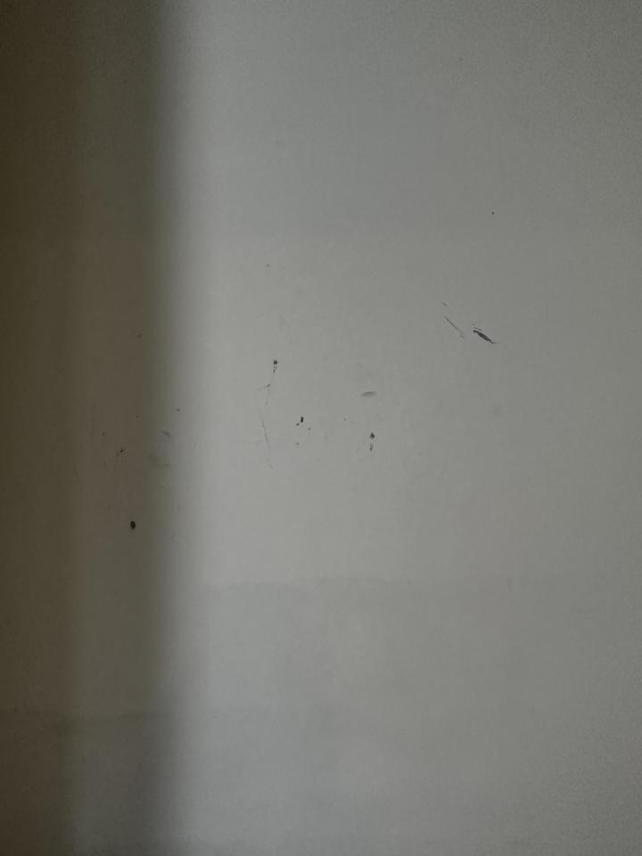 油漆工程案件圖片