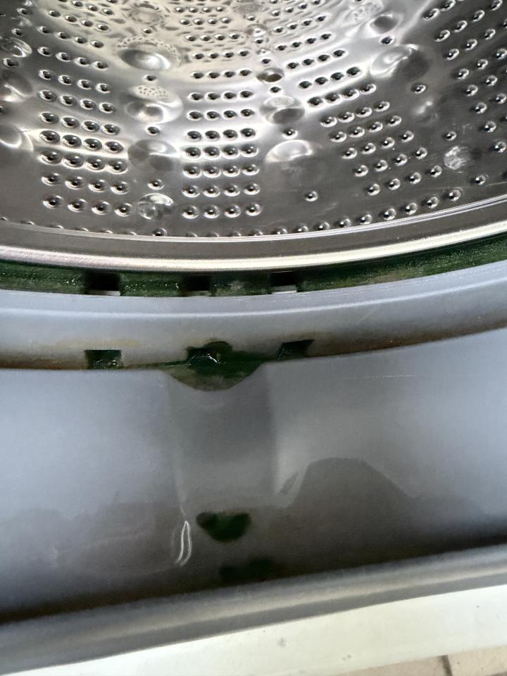 洗衣機清洗案件圖片