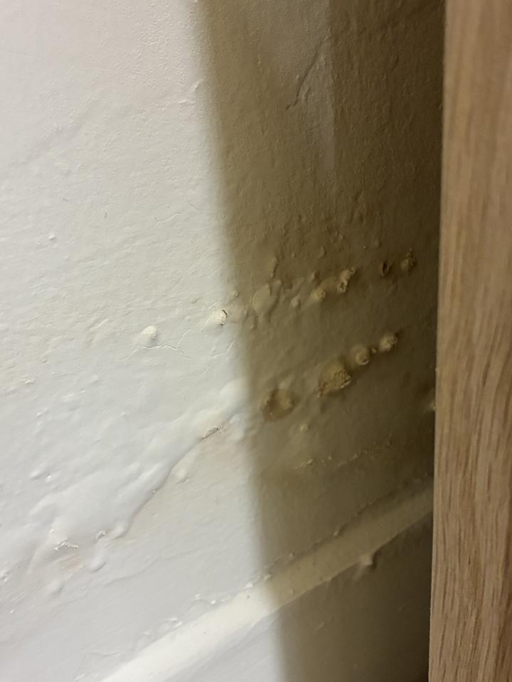 泥作/水泥施工案件圖片