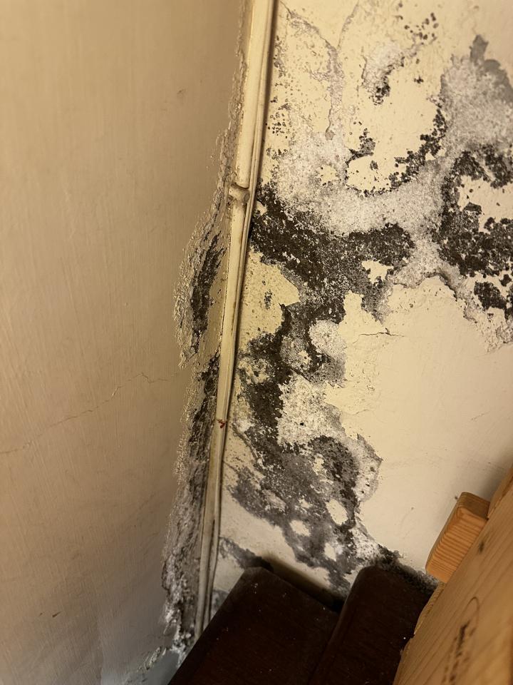 油漆工程案件圖片