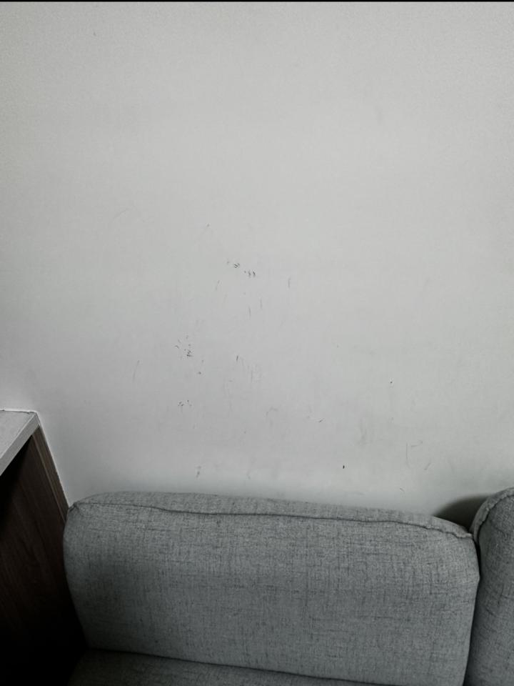 油漆工程案件圖片