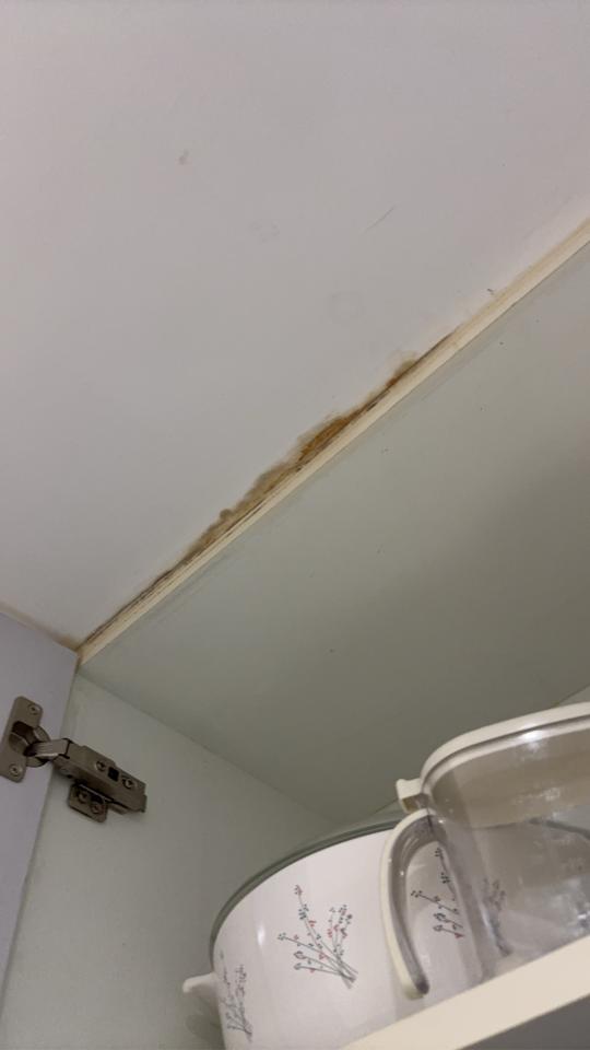 漏水處理案件圖片