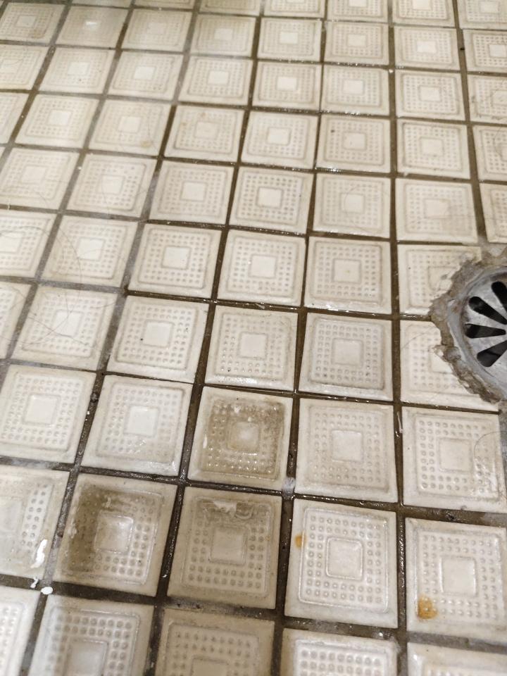 抓漏案件圖片
