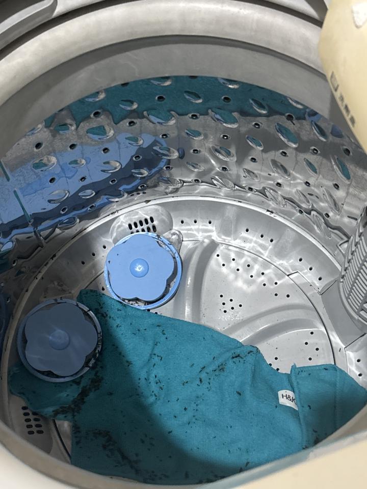 洗衣機清洗案件圖片