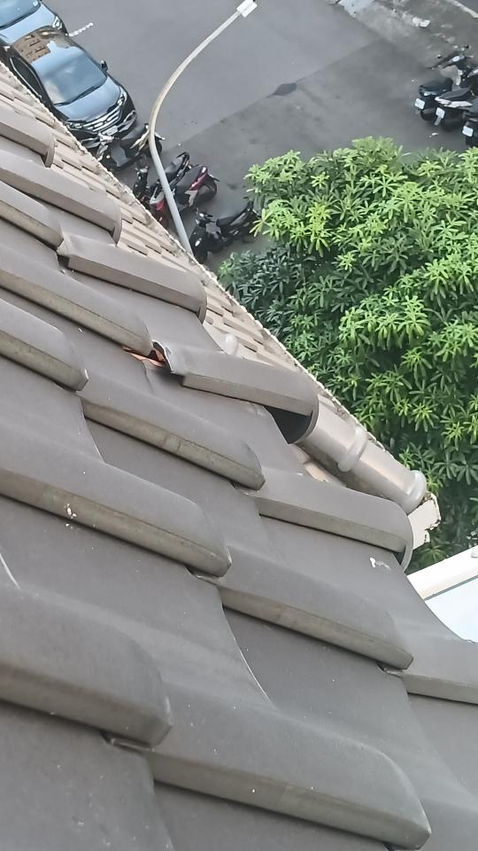 屋瓦翻修案件圖片