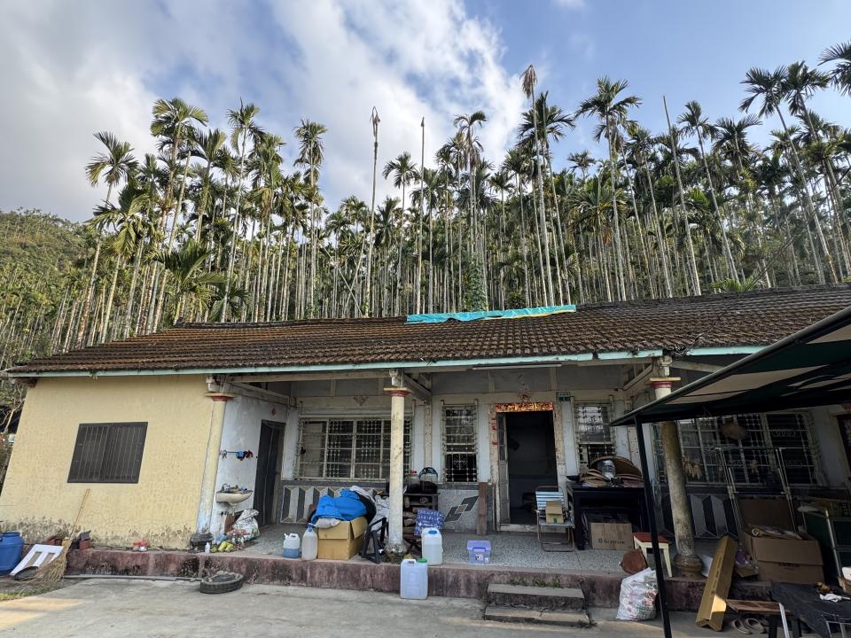 屋瓦翻修案件圖片