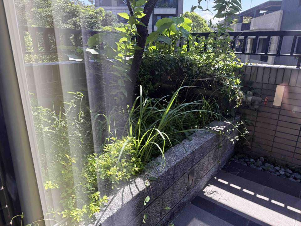 園藝維護案件圖片