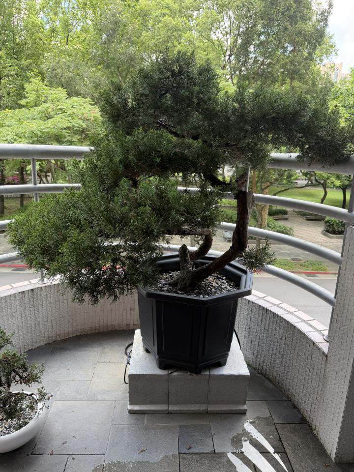 園藝設計案件圖片