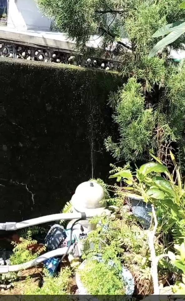 水電行案件圖片