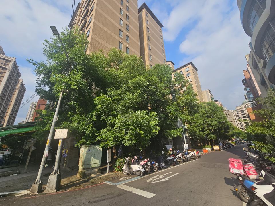 園藝維護案件圖片