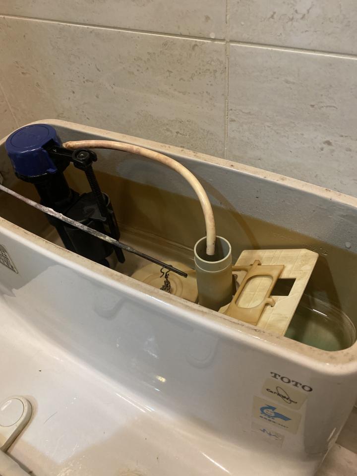 馬桶裝修案件圖片