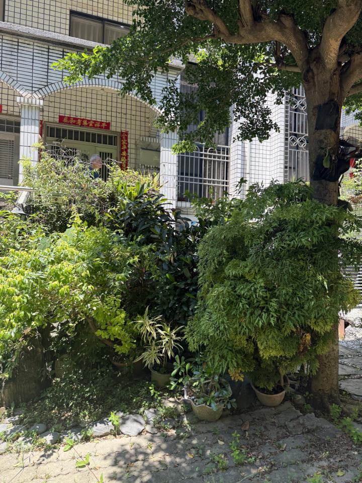園藝維護案件圖片