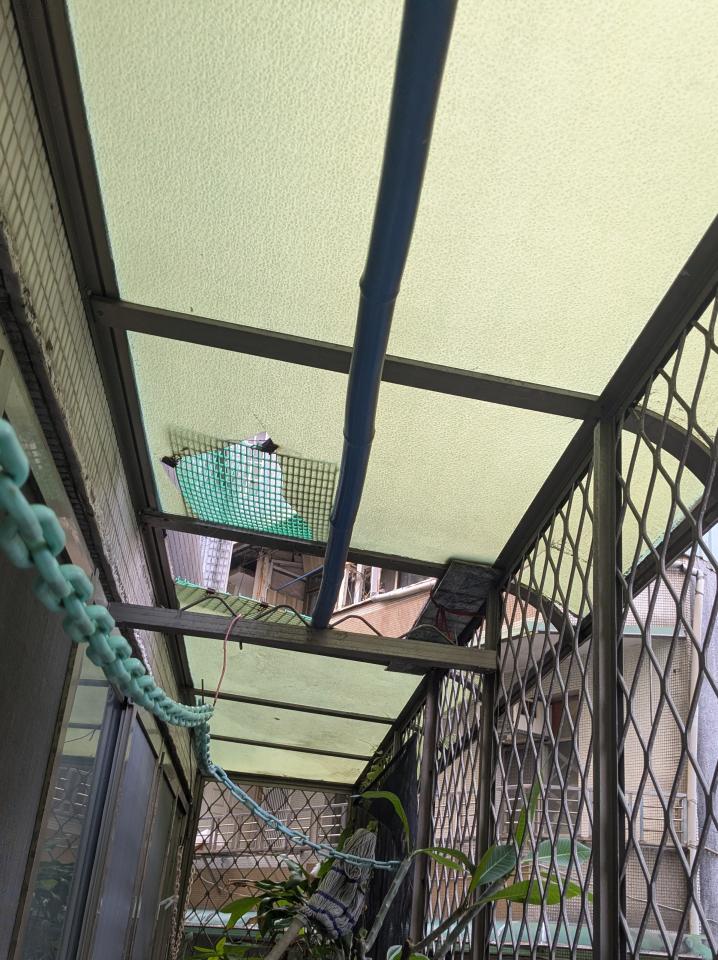 採光罩案件圖片