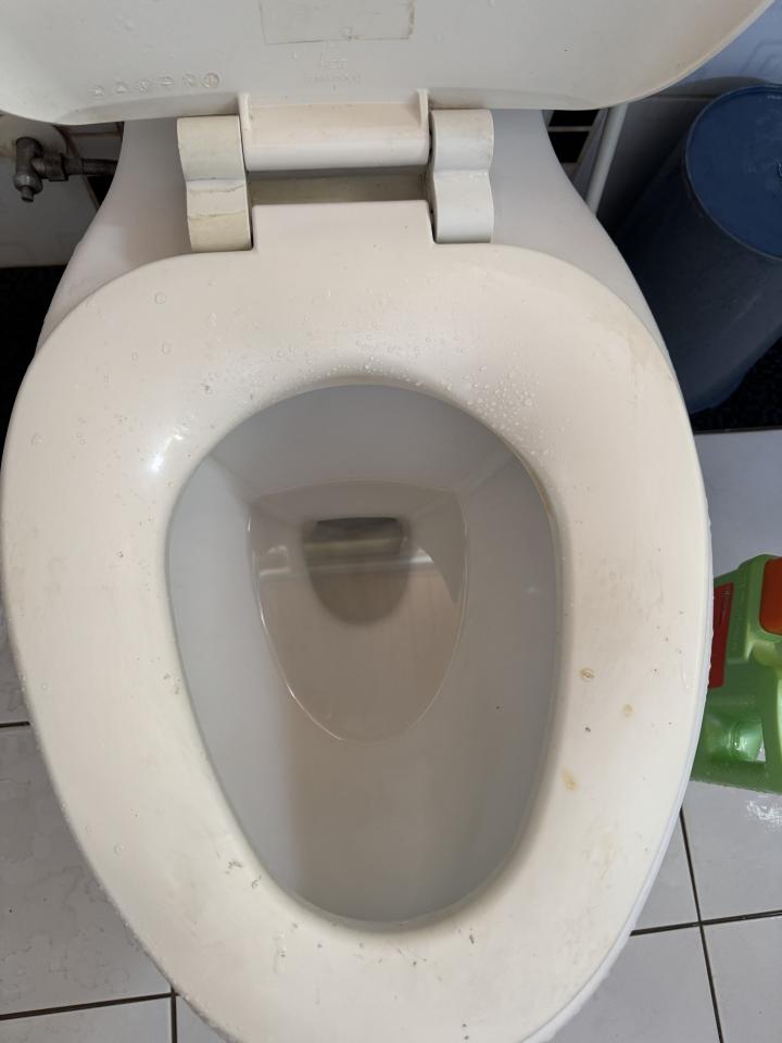 通馬桶案件圖片