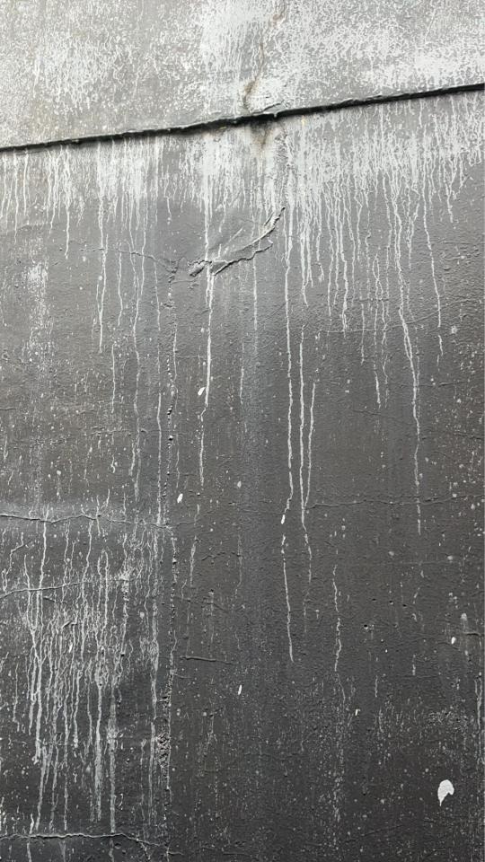 抓漏案件圖片