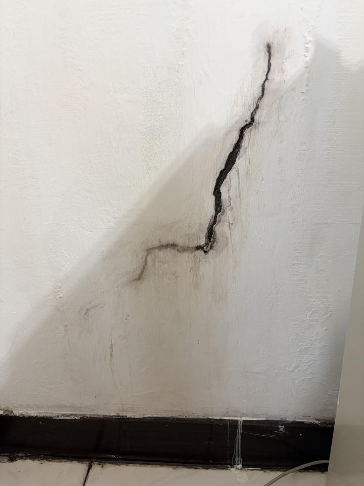 抓漏案件圖片