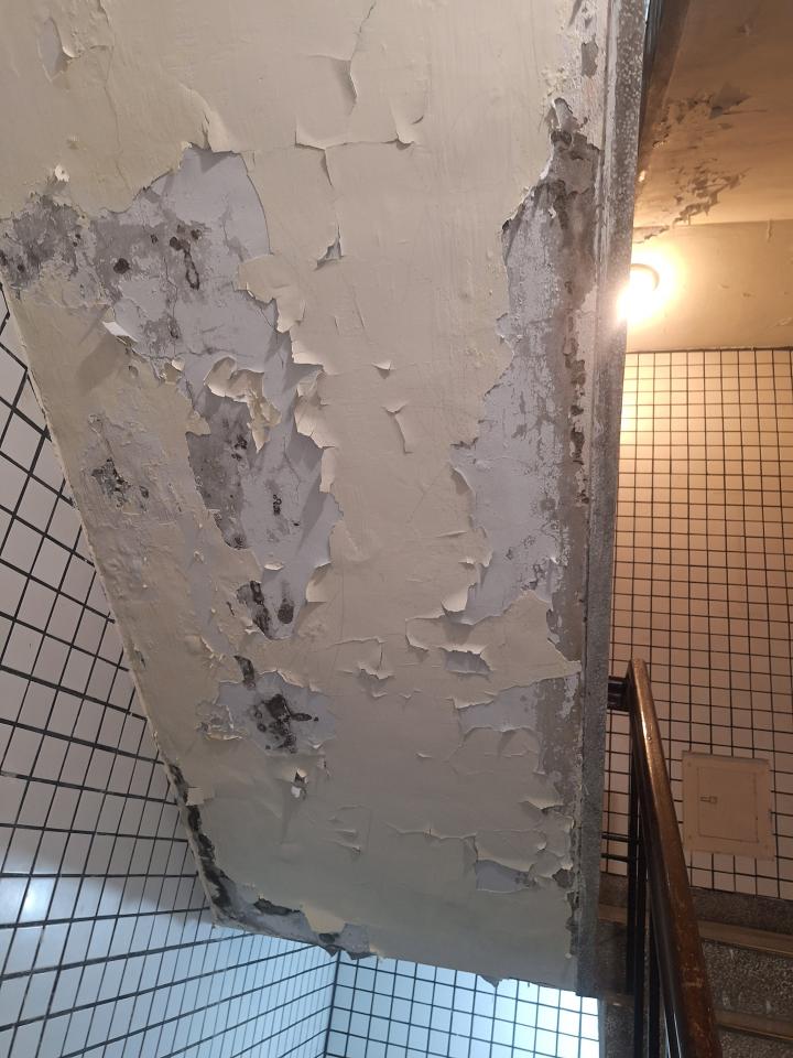 鋼筋外露處理案件圖片