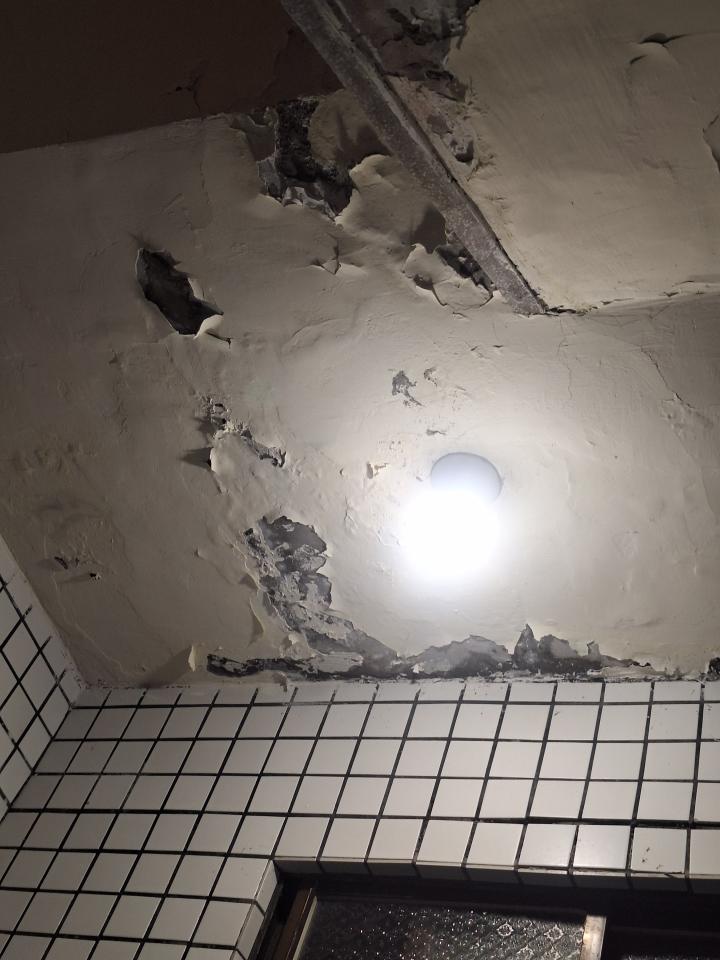 鋼筋外露處理案件圖片