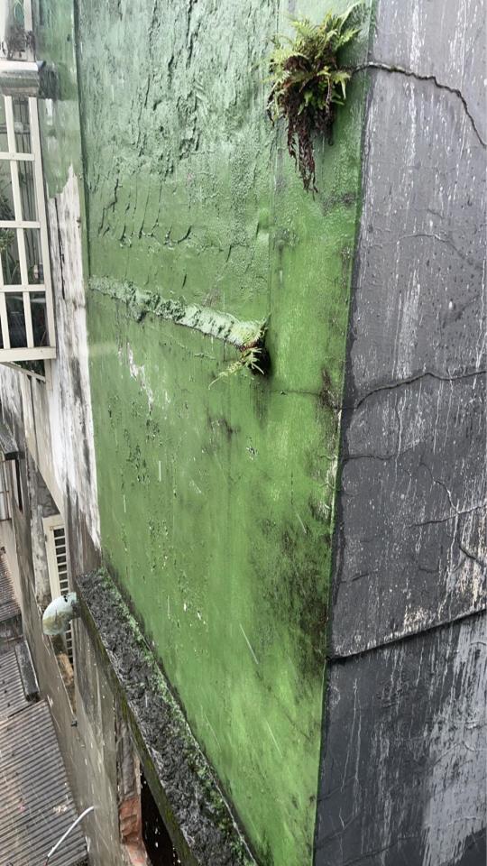 抓漏案件圖片