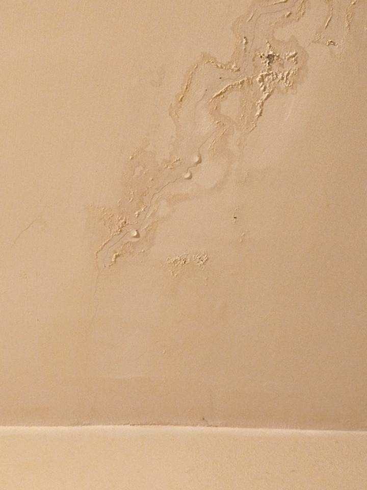 漏水處理案件圖片