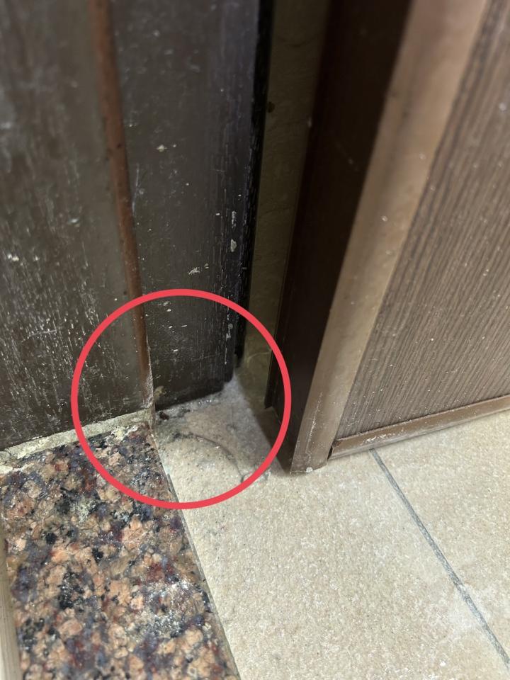 抓漏案件圖片
