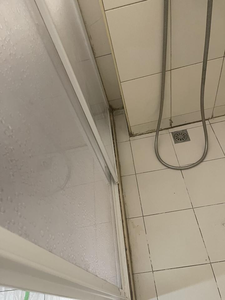矽利康工程案件圖片