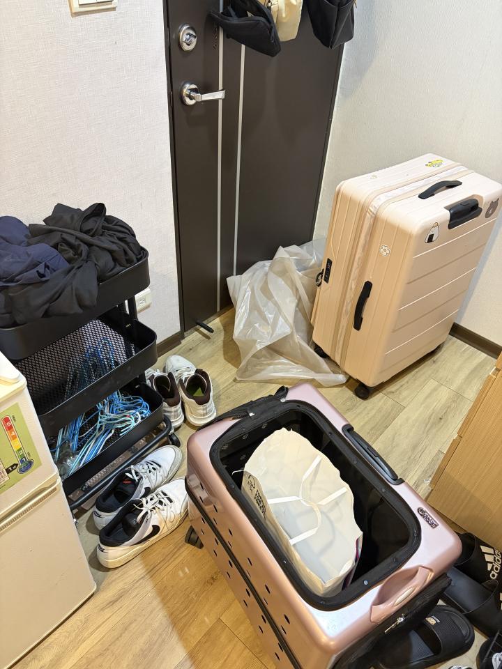 搬家案件圖片