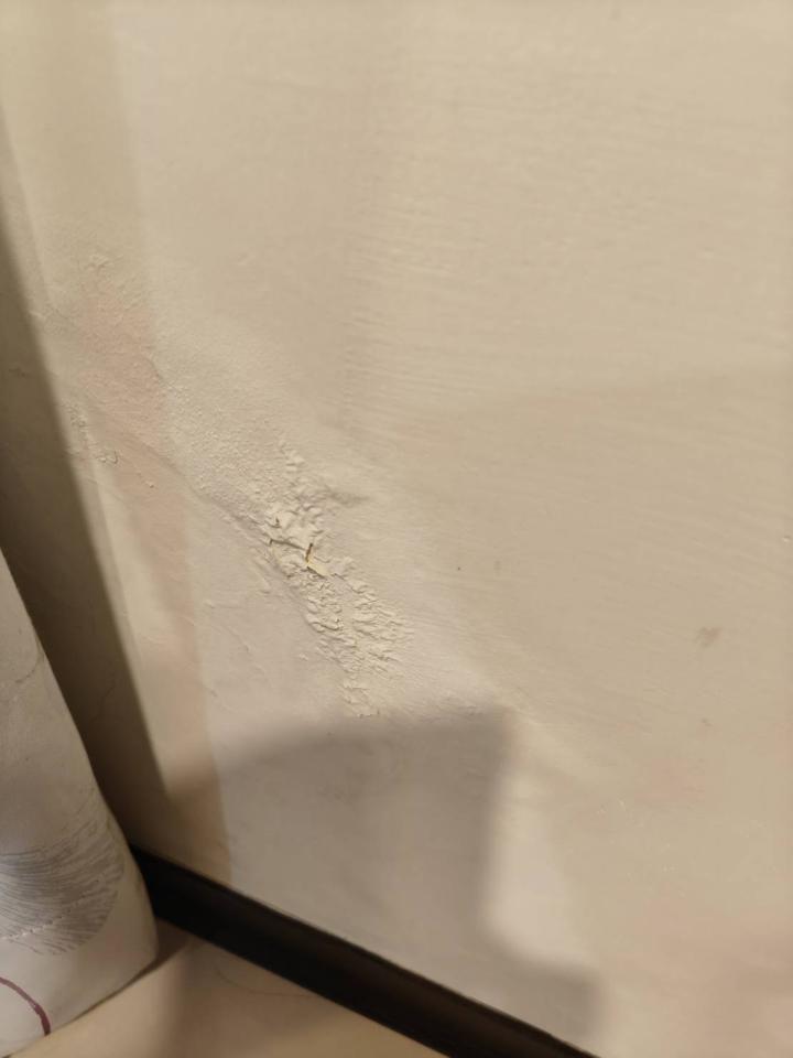 壁癌處理案件圖片