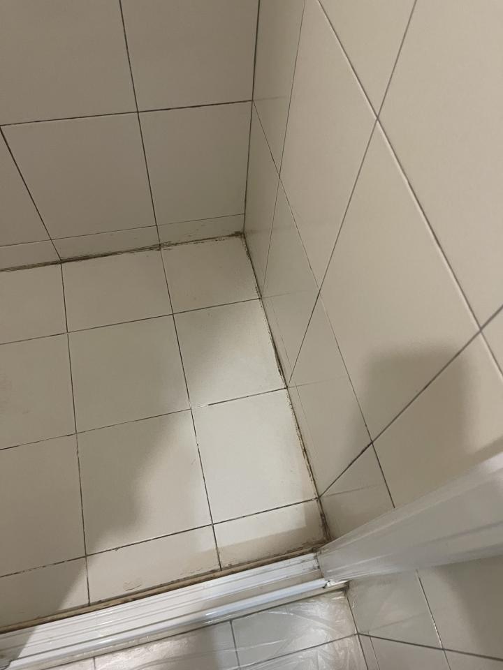 矽利康工程案件圖片