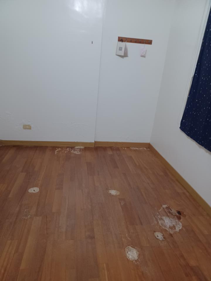 拆除工程案件圖片