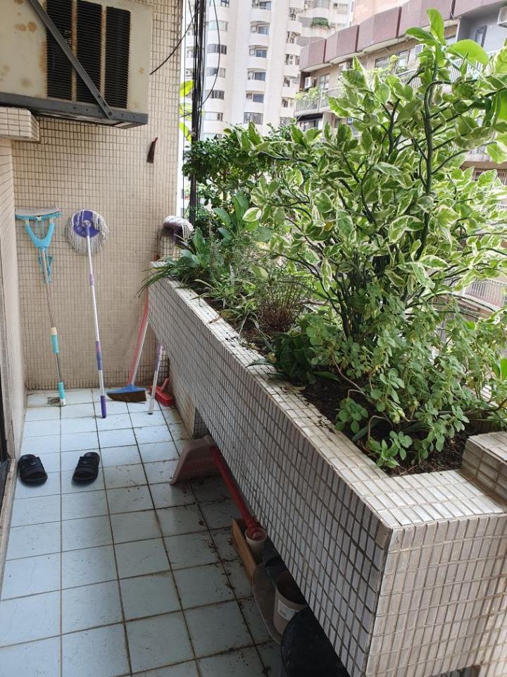 花園自動灑水系統案件圖片