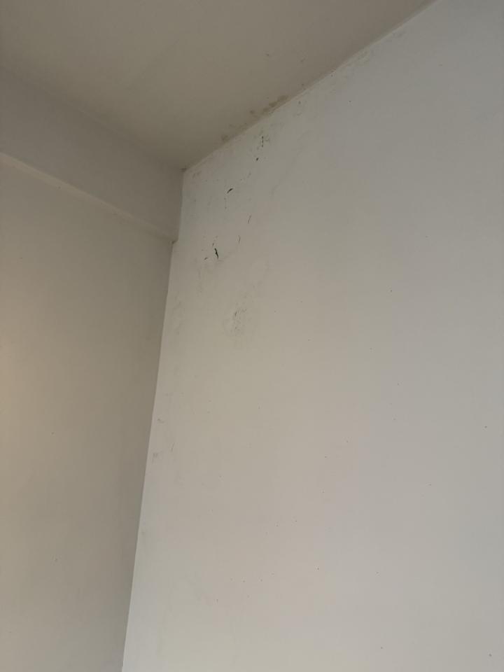 抓漏案件圖片