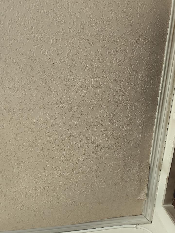壁紙施工案件圖片